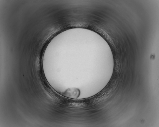 X0000099490251200806121359