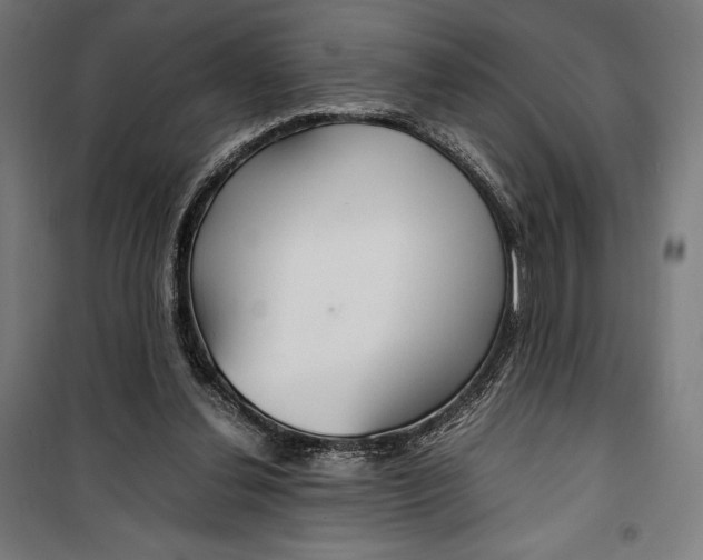 X0000099490252200806121359