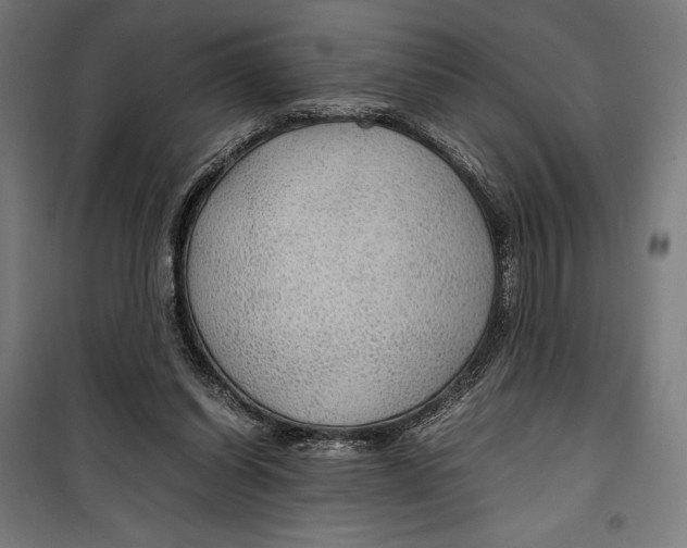 X0000099490254200806121359