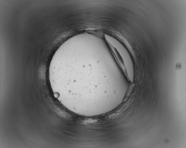 X0000099490257200806121359