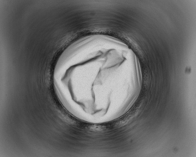 X0000099490261200806121359