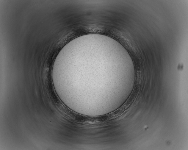 X0000099490263200806121359