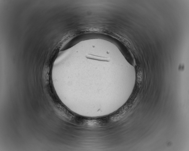 X0000099490264200806121359