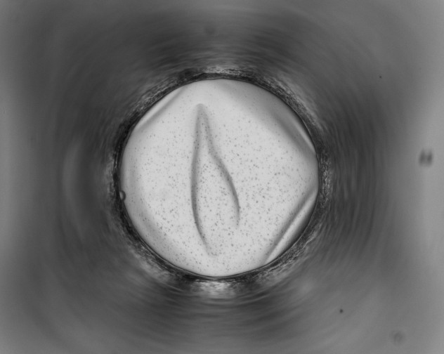 X0000099490265200806121359