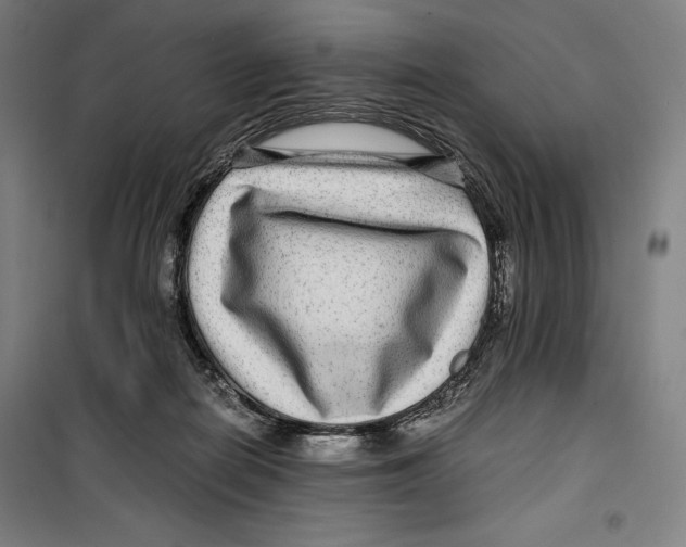 X0000099490266200806121359