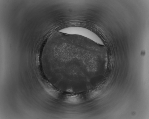 X0000099490267200806121359