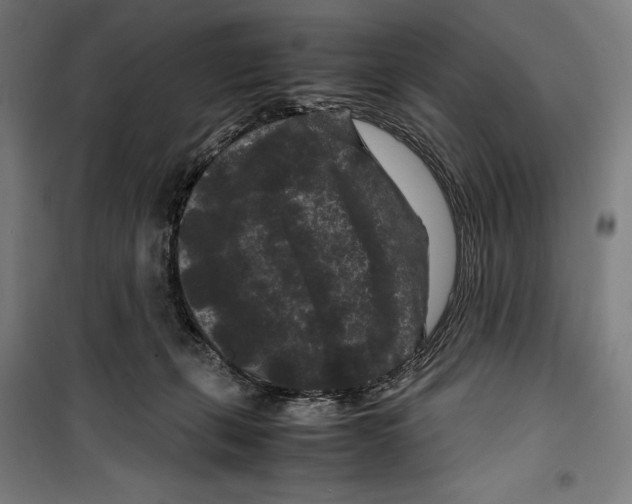 X0000099490271200806121359