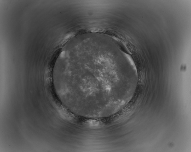 X0000099490272200806121359