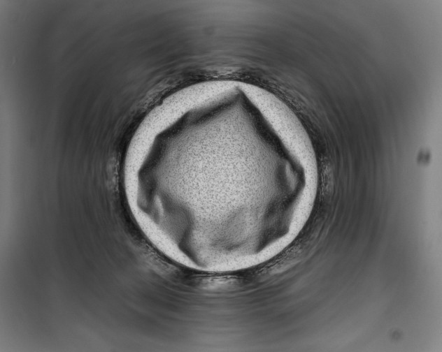 X0000099490274200806121359