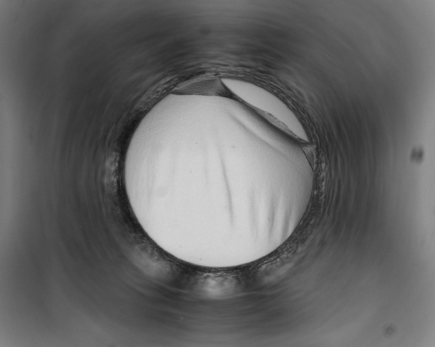 X0000099490275200806121359