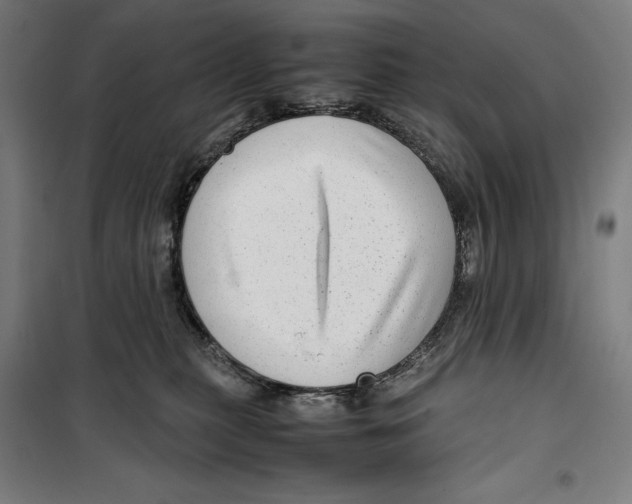 X0000099490279200806121359