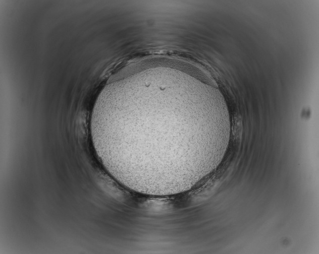 X0000099490280200806121359