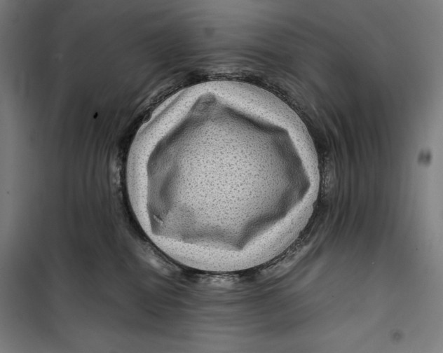 X0000099490282200806121359