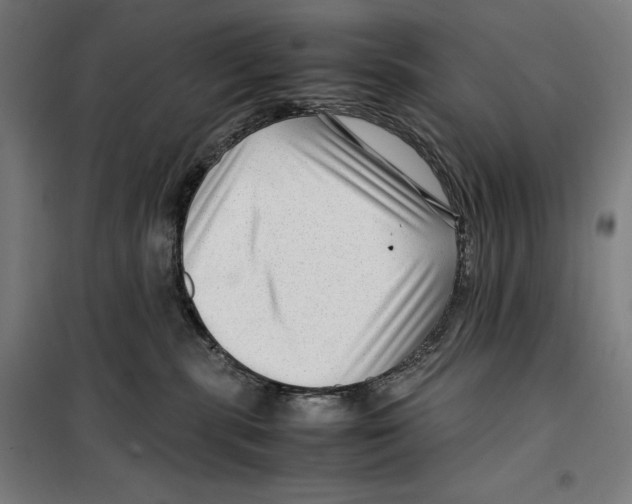 X0000099490283200806121359