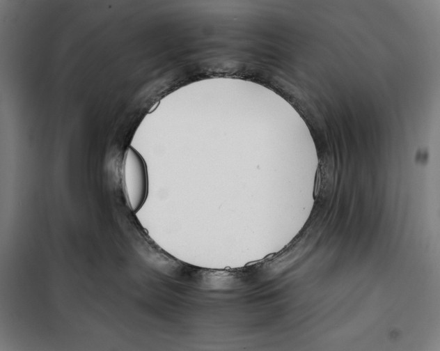 X0000099490287200806121359