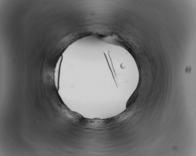 X0000099490288200806121359