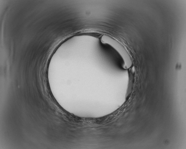 X0000099490289200806121358