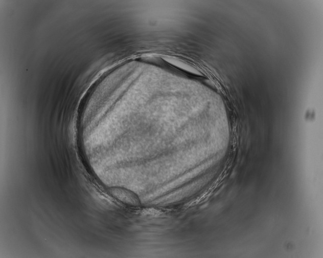 X0000099490290200806121358