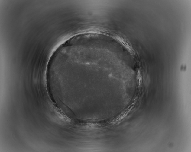 X0000099490292200806121358