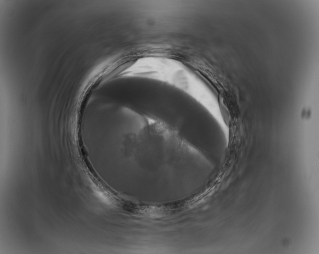 X0000099490293200806121358