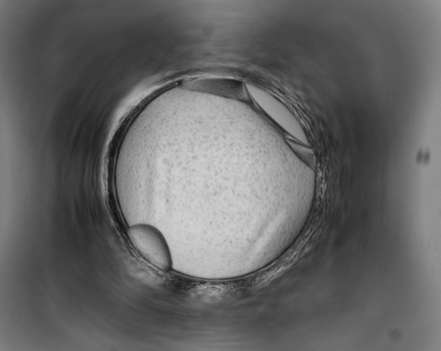 X0000099490294200806121358