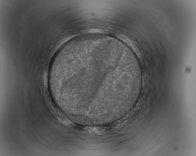 X0000099490297200806121358