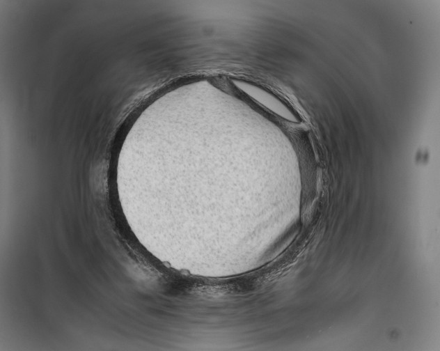 X0000099490299200806121358