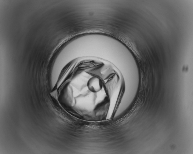 X0000099490300200806121358