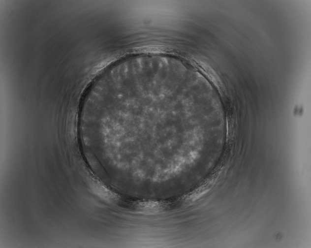 X0000099490301200806121358