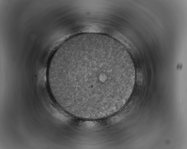 X0000099490302200806121358