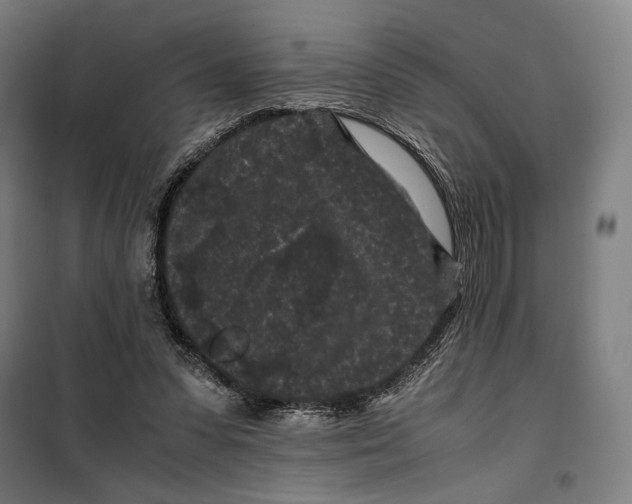 X0000099490303200806121358