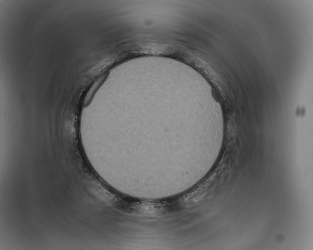 X0000099490305200806121358