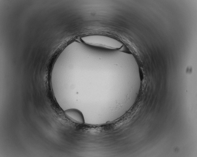 X0000099490306200806121358