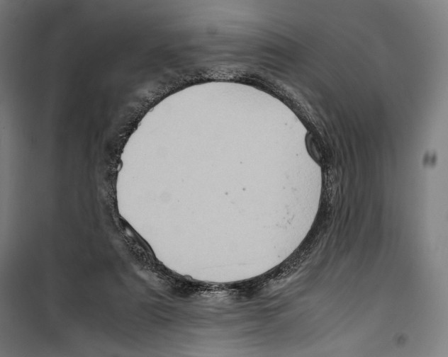 X0000099490307200806121358