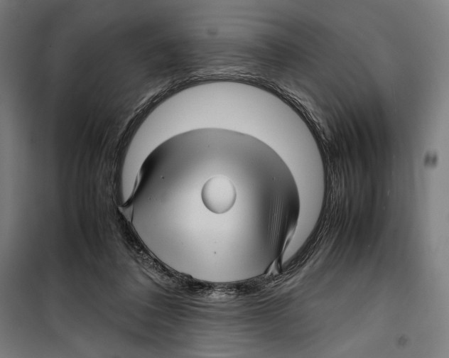 X0000099490308200806121358