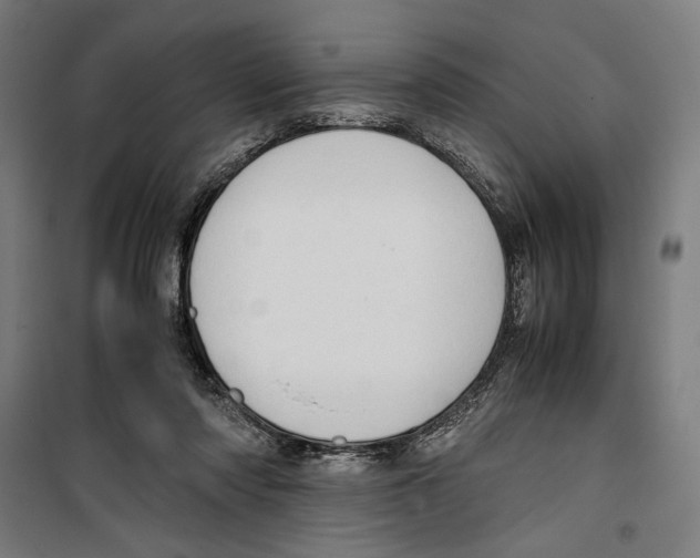 X0000099490310200806121358