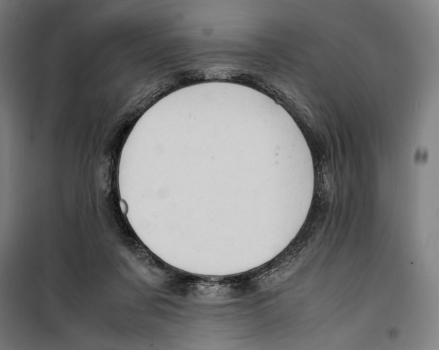 X0000099490311200806121358