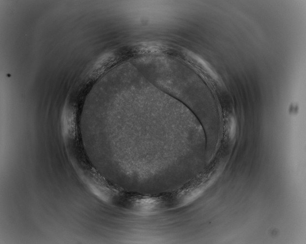 X0000099490312200806121358