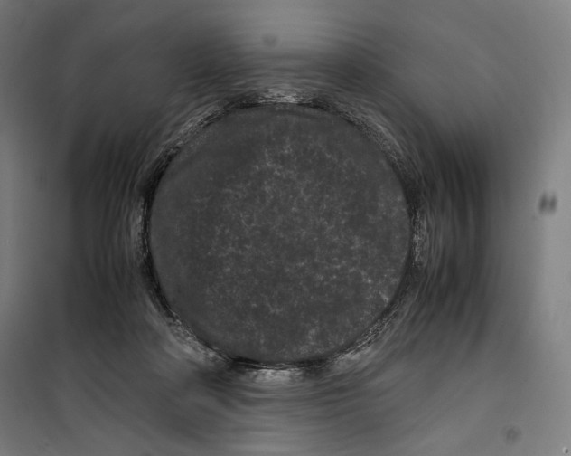 X0000099490314200806121358