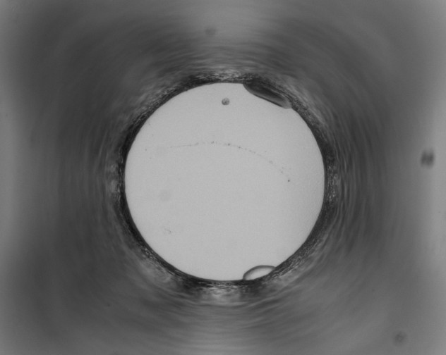 X0000099490317200806121358