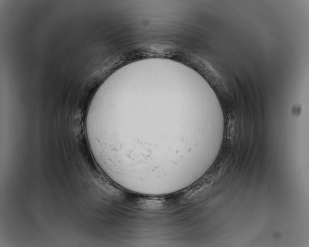 X0000099490318200806121358