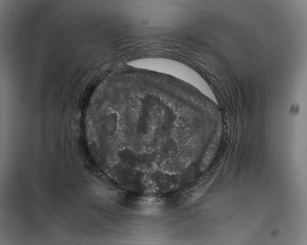 X0000099490319200806121358