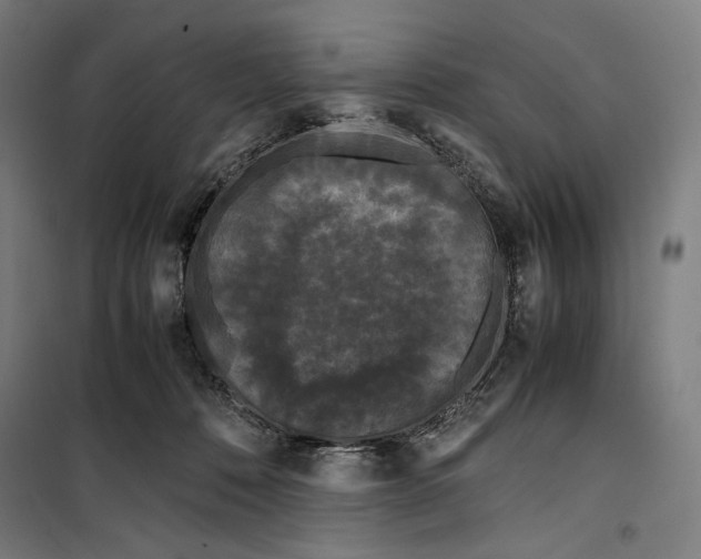 X0000099490320200806121358