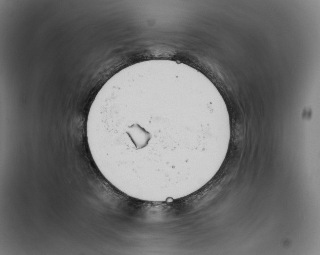 X0000099490321200806121358