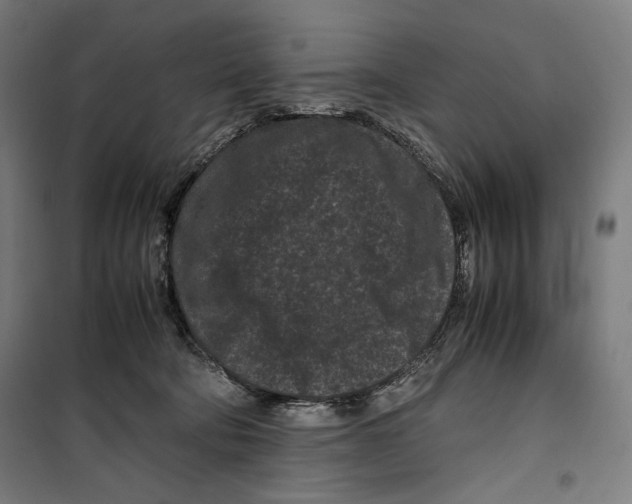 X0000099490322200806121358