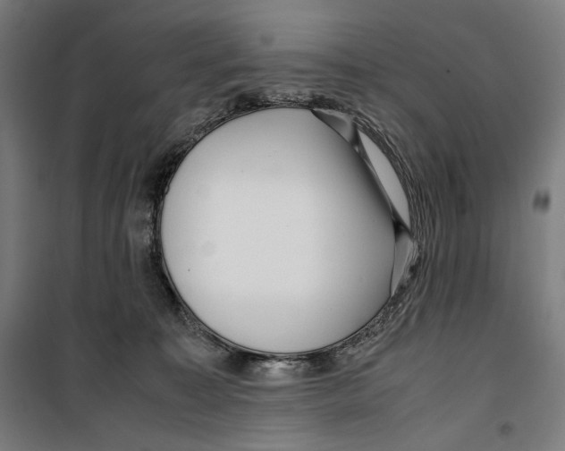 X0000099490323200806121358