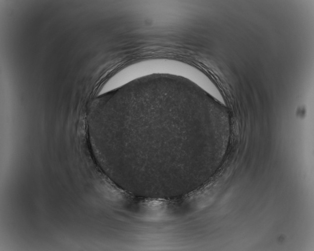 X0000099490325200806121358