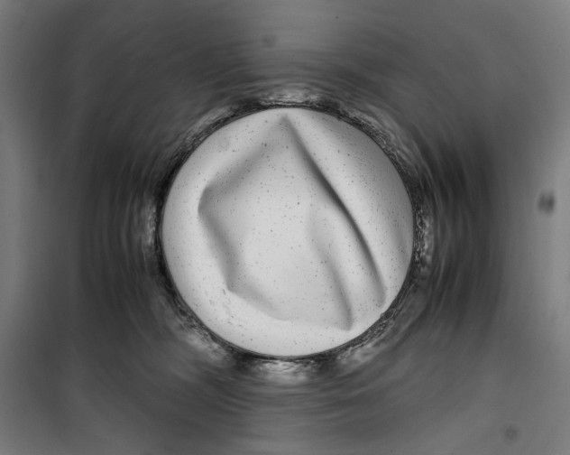 X0000099490326200806121358