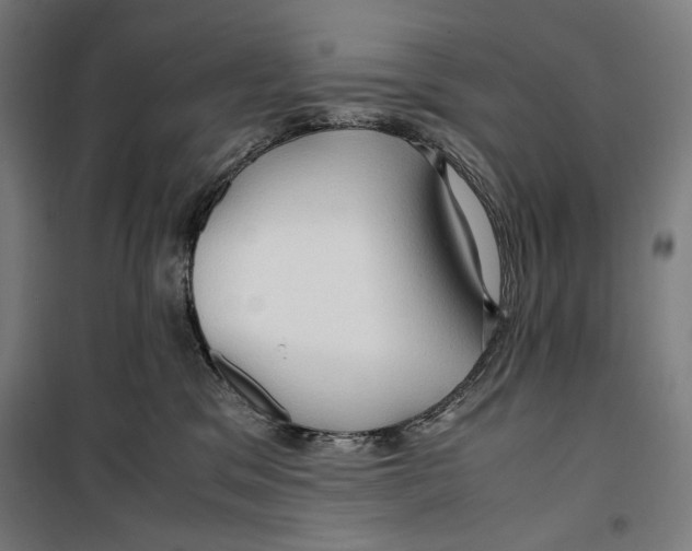 X0000099490329200806121358