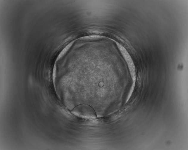 X0000099490330200806121358